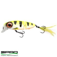 SPRO Iris Underdog 8CM 18G Hot Perch Sahte Yem