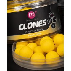 Mainline Sweetcorn 13mm Süt Mısırı Pop Up