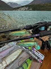 Daiwa Prorex Lazy Roach RD 16cm 56gr Silikon Yem