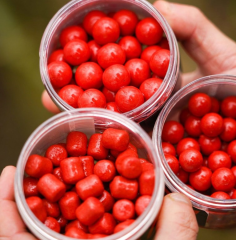 CC Moore NS1 Red Pop Ups 12 mm Kırmızı Pop Up