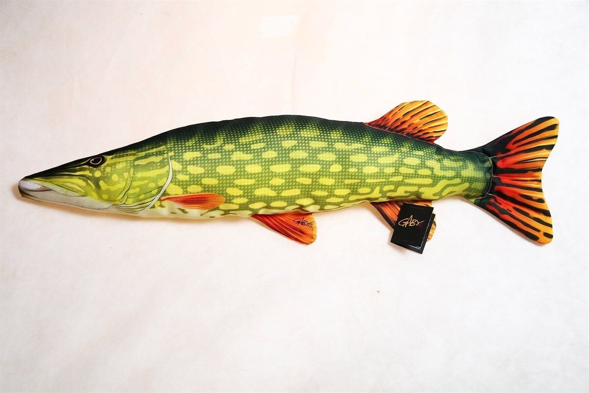 Gaby Fish Pike Esox LuciusTurna Balığı 80cm