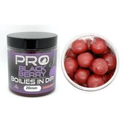 Starbaits Boilies In Dip Probiotic Blackberry 150 g Böğürtlen Dipli Boili