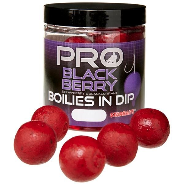 Starbaits Boilies In Dip Probiotic Blackberry 150 g Böğürtlen Dipli Boili