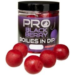 Starbaits Boilies In Dip Probiotic Blackberry 150 g Böğürtlen Dipli Boili