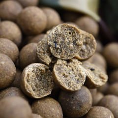 CC Moore Odyssey XXX Shelf Life Boilies 24mm 1kg
