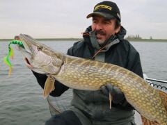 SPRO Iris Shocktail 20cm Silikon Yem N.Pike