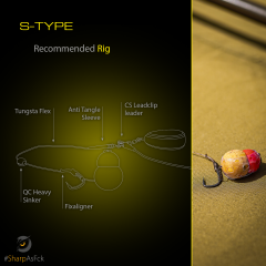 Pole Position S-Type Hook Sazan İğnesi