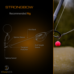 Pole Position Strongbow Hook Sazan İğnesi