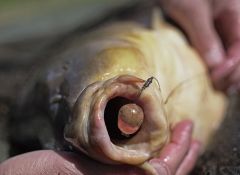 Pole Position Tungsten Kicker İğne Hizalayıcı Aparat