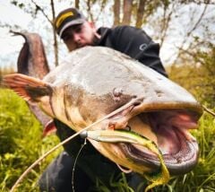 SPRO Iris Shocktail 30Cm Yellow Steel Silikon Yem