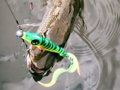 SPRO Iris Shocktail 20cm Sexy Lavender Silikon Yem