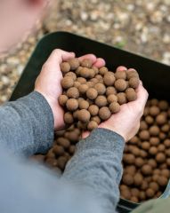 Nash Scopex Squid Boilies 1kg 20mm